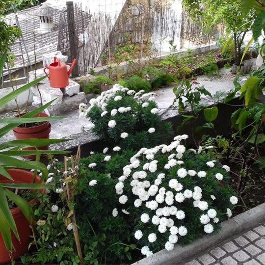 Apartamento Tonic Flat *
